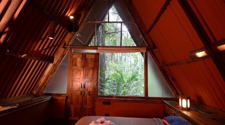 Maachali Homestay, Sindhudurg 4
